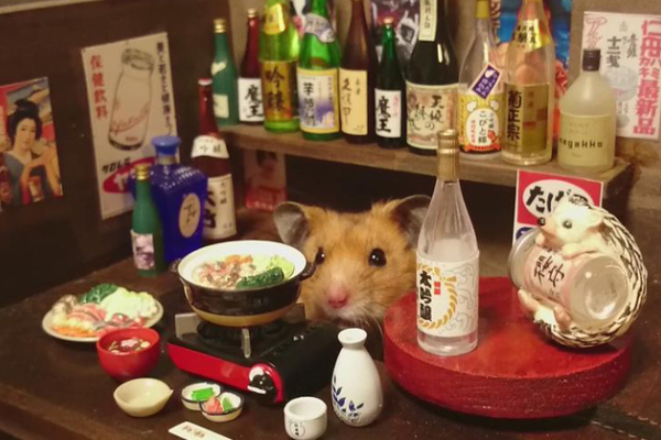 Mini-bars and hamsters