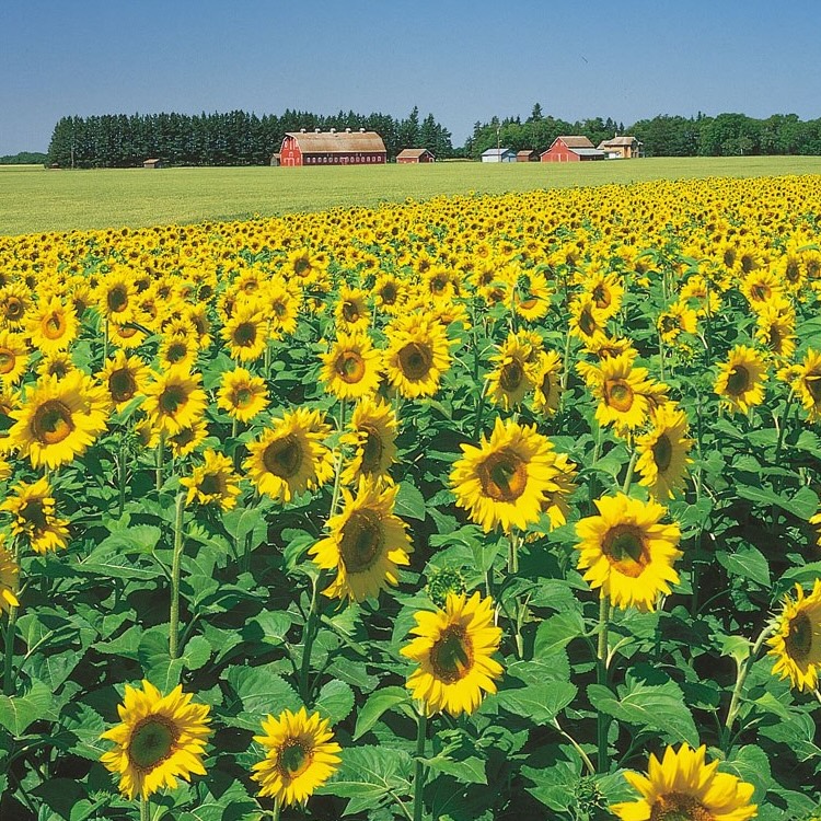 My goal is to make you smile&nbsp;today