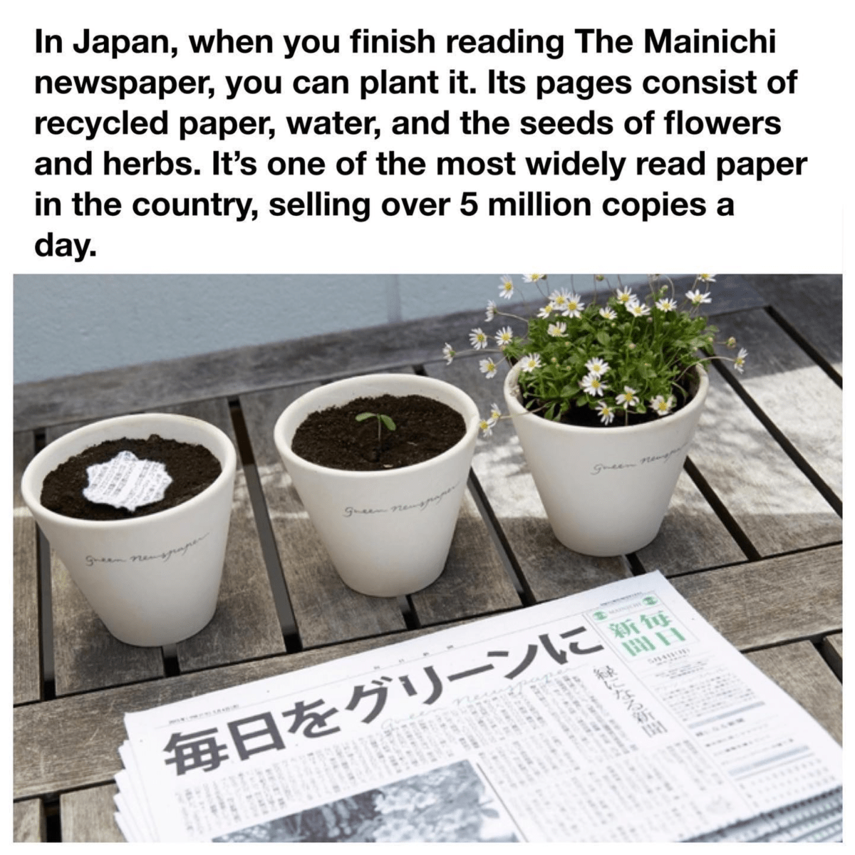 Recycled newspapers!