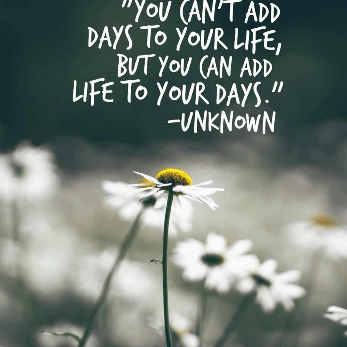 Adding life to your&nbsp;days